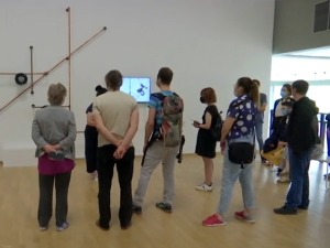 Изложба „Ефекат прегледа“ у Музеју савремене уметности разматра кључне еколошке проблеме