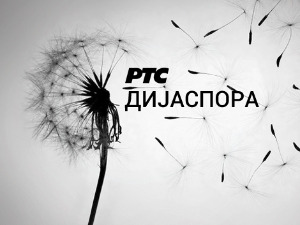 Медијска мрежа српске дијаспоре: Амерички сан