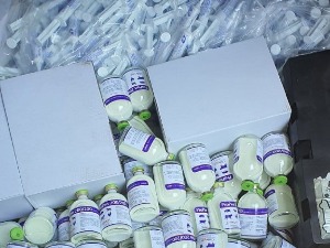 Цариници спречили шверц лекова и стероида