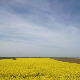 	Фолдер Србија: Шарганска осмица