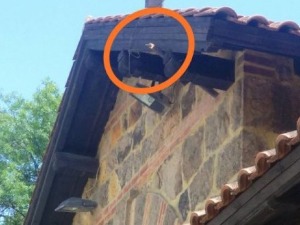 Скинута застава СПЦ и поломљен јарбол на манастиру Грачаница