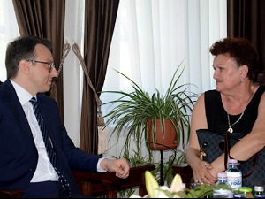 Петковић: Нови притисак на Драгицу Гашић у Ђаковици, спречена да замени стара врата