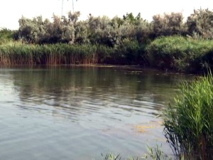 Деветогодишња девојчица утопила се код Кикинде