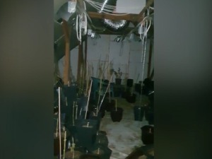 Акција полиције у Тополи – пронађена лабораторија за узгој марихуане, ухапшене четири особе