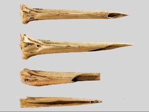 Пронађен можда најстарији прибор за тетовирање