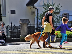 Највећи пад броја становника у протеклој деценији – у 2020. изгубили смо град величине Врања