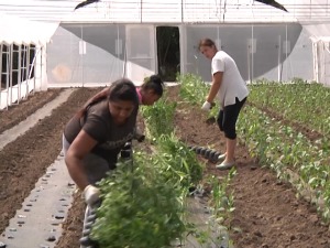 Општина Житорађа, пример шта се све може уз подстицај државе