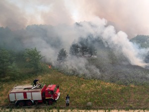Пожар код границе с Мађарском, ватрогасци у акцији
