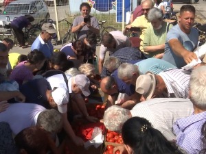 Лесковачки произвођачи поклањали парадајз из протеста због ниске цене