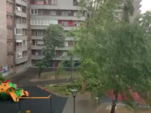 Јака киша у Шапцу, ветар обарао стабла