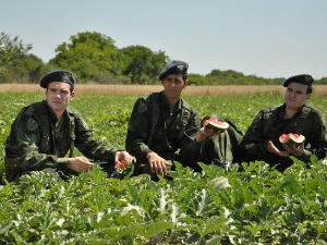 Војна академија