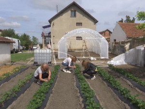 Нова Црња има решење како да задржи младе, солидна кућа кошта мање од 10.000 евра