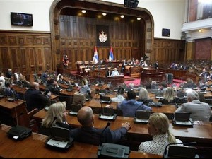 Посланици о српским жртвама и правима Драгице Гашић