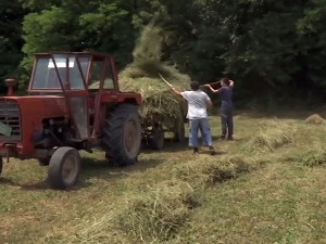 Повратак на дедовину