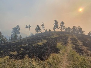 Пожар у шумама на територији Прибоја и Нове Вароши