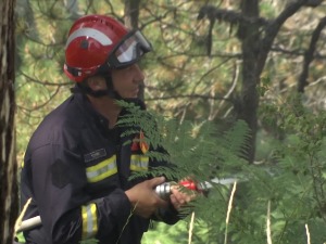 Пожари у Златиборском округу, неприступачан терен отежава посао ватрогасцима