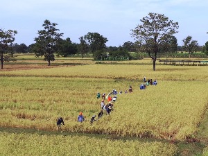 Тачка без повратка:	 Несташица хране