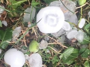 Невреме у више градова Србије, падао и град величине јајета