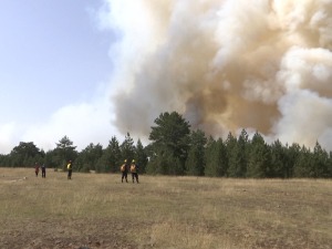 Ватра гута шуму и ниско растиње на Црном врху, литице отежавају гашење