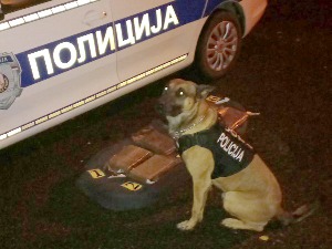 На Јарињу заплењено скоро седам килограма чистог кокаина, ухапшена једна особа