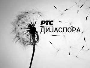 Медијска мрежа српске дијаспоре: Спона