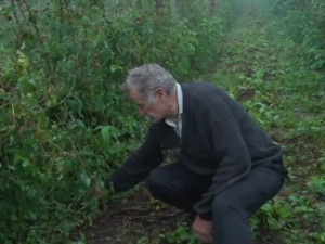 Кад целе године радиш, а град ти збрише све – голијска села очекују помоћ