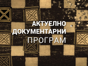 Професионалци-Контролори летења