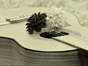 Гитара у првом плану