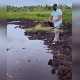 Папуче су криве
