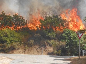 Велики пожар на Сардинији, хиљаде евакуисане