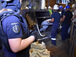 Спаљено 1,4 тоне марихуане, Вулин поручио да ће се хапсити и за "џоинт"