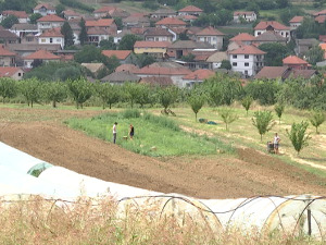 Мештани око Београда муче се са заливањем воћа и поврћа, а водовод упозорава због несташица воде