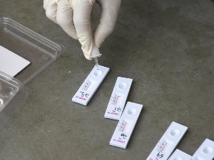 Крагујевац, тужилаштво проверава нестанак серолошких тестова