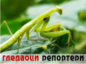 Гледаоци репортери (28. јул 2021)