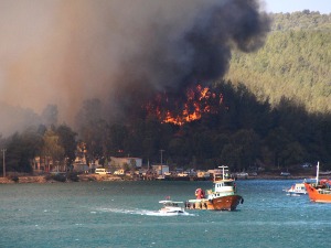 Матић: Сви српски туристи у Турској су збринути
