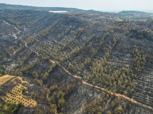 Турска, већина шумских пожара под контролом