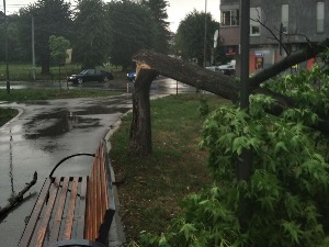 Пролази опасност од невремена, олуја у ваљевском крају, Чачку и Лазаревцу ломила дрвеће