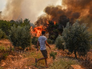 Ердоган: Приведен осумњичени за подметање пожара