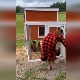 Имао сам страшног петла