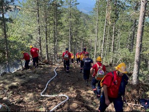 Локализован пожар на Мокрој Гори, Вулин захвалио ватрогасцима-спасиоцима