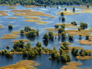 Траг у простору: Прича о седам Дунава