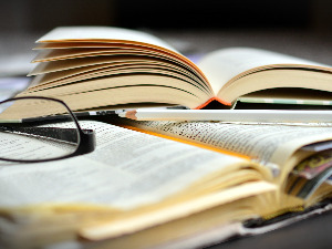 Новицa Милић: Критика српског ума