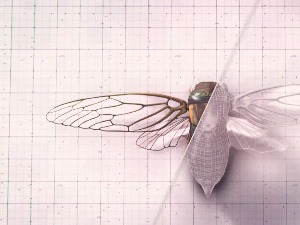 Чудесна природа:  Отпорност