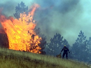 Борба са пожарима у Златиборском округу, ватра није угрозила насеља и људе