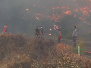 Амбасадор Србије у Турској: Пожари под контролом, наши држављани безбедни