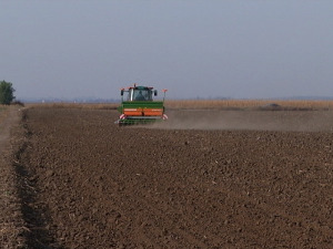 Државне њиве у закуп на 15 година, али Сремска Митровица има своју рачуницу за ораницу