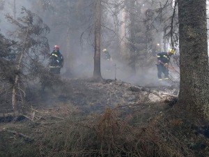 Вулин: Инсистираћу на пооштравању казнене политике према свима који изазову пожар