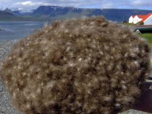 Како је спавати на најскупљем перју на свету