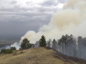 Шта ватрогасцима у Србији недостаје у борби против пожара