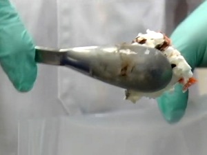 Ко и како контролише исправност хране у Србији – када се и које серије повлаче са полица